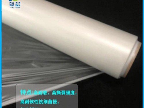 tpu低透雾防水透气薄膜   TPU功能性薄膜    ZC